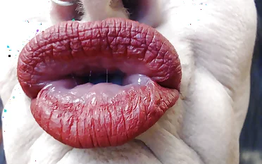 Shove around duck closeup lipstick red matte